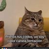 silvia.lanas