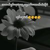mgmgo4273