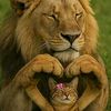 haneenelsayed106