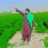 sadall743