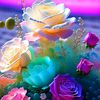 user2160315280767