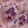 ndafajriaslslbla26