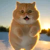 furbakka