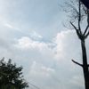 kurnia_25.03