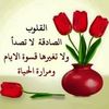 user9571802186262