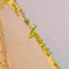 wellhamoud8