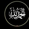 user7199780545806