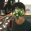 callmeshua_