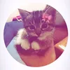 dina_01927