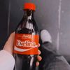 evelinaraileanu