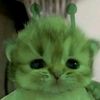 chewykissess