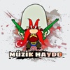 muzik.haydo