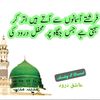 www.tiktok.comzain7860