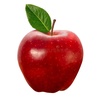 apple_9880