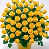 user5734113800119