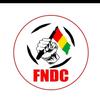 @FNDC_Guinee