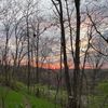 503.huntermccarter