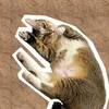 samduameow