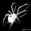 _l1.xxx7