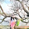 cari_perhatianmu