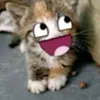 hai_rpin0