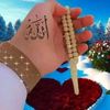 user79032179636761
