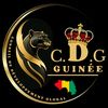 cdgguinee