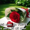 jerlinanguloclara