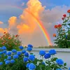 www.tiktok.commeomeo1