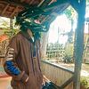 pan_viay