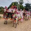 [ကိုစွမ်း]အောင်တိုင်းကျော်🐂🐂