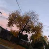 francesca.rodrguez4