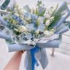 lu_ca0815