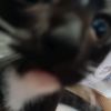 wkdsqllajsdkwowix