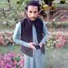 zianulhaq70