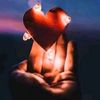 amy.ahmed48