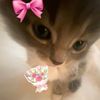 rynn_claryn_