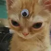 babyyplutooo_