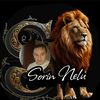 sorin.nelu3