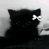 bukva1n0