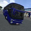 Driver Bussid