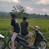 kalss5tl