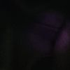steezy_ll