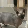 ttkirnb