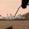fofa77133