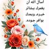 samasafia347