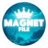 magnetfile