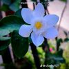 user9325046095745