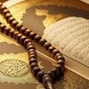 mohammed23530