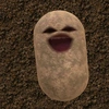 urboymr.potato